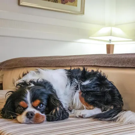 מלון Kempinski Palace 5*