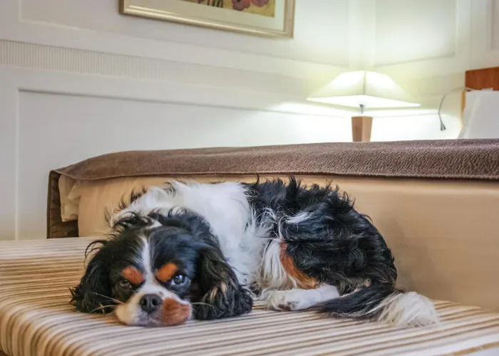 Hotel Hotel Palace Portoroz 5*